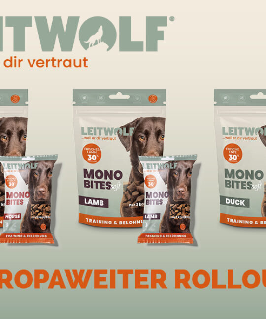 Von der Idee zur fertigen Verpackung: Unser Design für Leitwolf Snacks